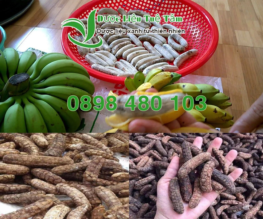 100+ Hình Ảnh Chuối Hột Rừng 2026 Siêu Đẹp, Tải Ngay, Sử Dụng Nhanh? 100+ Hình Ảnh Chuối Hột Rừng 2026 Siêu Đẹp, Tải Ngay, Sử Dụng Nhanh?