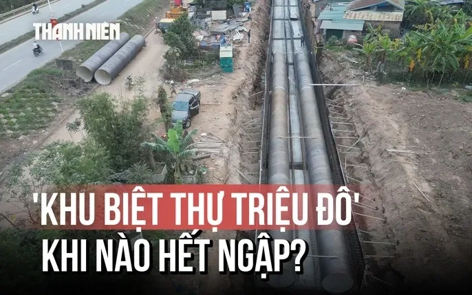 100+ Hình Ảnh Con Đê Sông Hồng 2026 - Bộ Sưu Tập Đẹp Nhất, Bạn Đã Xem Chưa? 100+ Hình Ảnh Con Đê Sông Hồng 2026 - Bộ Sưu Tập Đẹp Nhất, Bạn Đã Xem Chưa?