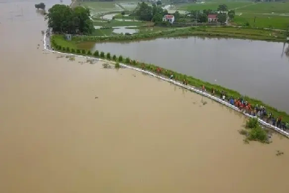 100+ Hình Ảnh Con Đê Sông Hồng 2026 - Bộ Sưu Tập Đẹp Nhất, Bạn Đã Xem Chưa? 100+ Hình Ảnh Con Đê Sông Hồng 2026 - Bộ Sưu Tập Đẹp Nhất, Bạn Đã Xem Chưa?