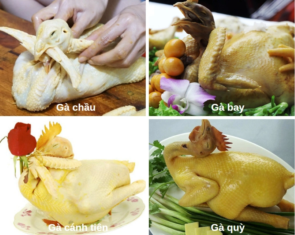100+ Hình Ảnh Con Gà Cúng 2026 Đẹp Nhất, Tải Ngay 100+ Hình Ảnh Con Gà Cúng 2026 Đẹp Nhất, Tải Ngay