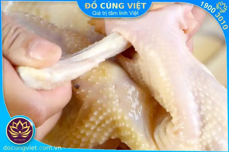 100+ Hình Ảnh Con Gà Cúng 2026 Đẹp Nhất, Tải Ngay 100+ Hình Ảnh Con Gà Cúng 2026 Đẹp Nhất, Tải Ngay