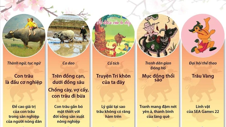 Hình Ảnh Con Trâu Trên Đồng Ruộng: Lịch Sử, Văn Hóa & Tầm Quan Trọng Đối Với Người Nông Dân Việt Nam Hình Ảnh Con Trâu Trên Đồng Ruộng: Lịch Sử, Văn Hóa & Tầm Quan Trọng Đối Với Người Nông Dân Việt Nam