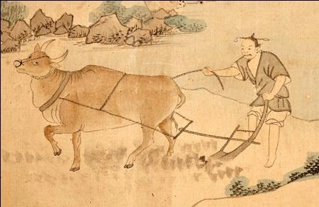 Hình Ảnh Con Trâu Trên Đồng Ruộng: Lịch Sử, Văn Hóa & Tầm Quan Trọng Đối Với Người Nông Dân Việt Nam Hình Ảnh Con Trâu Trên Đồng Ruộng: Lịch Sử, Văn Hóa & Tầm Quan Trọng Đối Với Người Nông Dân Việt Nam