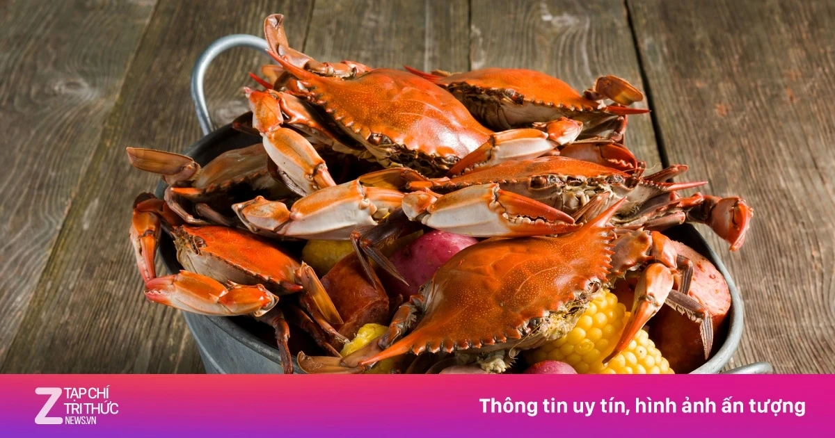 100+ Hình Ảnh Cua Gạch Son 2026 – Bộ Sưu Tập Đẹp Nhất, Đa Dạng Cho Mọi Nhu Cầu 100+ Hình Ảnh Cua Gạch Son 2026 – Bộ Sưu Tập Đẹp Nhất, Đa Dạng Cho Mọi Nhu Cầu