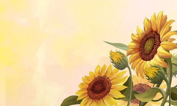 Tải Và Sử Dụng Hình Ảnh Hoa Hướng Dương: Bộ Sưu Tập Miễn Phí, Độc Đáo & Đầy Ý Nghĩa Cho Người Yêu Thiên Nhiên Tải Và Sử Dụng Hình Ảnh Hoa Hướng Dương: Bộ Sưu Tập Miễn Phí, Độc Đáo & Đầy Ý Nghĩa Cho Người Yêu Thiên Nhiên