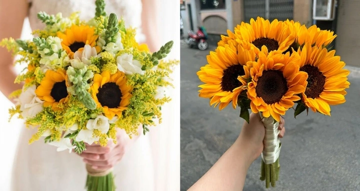 Tải Và Sử Dụng Hình Ảnh Hoa Hướng Dương: Bộ Sưu Tập Miễn Phí, Độc Đáo & Đầy Ý Nghĩa Cho Người Yêu Thiên Nhiên Tải Và Sử Dụng Hình Ảnh Hoa Hướng Dương: Bộ Sưu Tập Miễn Phí, Độc Đáo & Đầy Ý Nghĩa Cho Người Yêu Thiên Nhiên