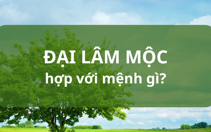 100+ Hình Ảnh Đại Lâm Mộc 2026 Siêu Đẹp, 100+ Bức Ảnh Độc Đáo Đầy Sắc Màu, 100+ Hình Nền Đa Dạng Cho Mọi Nhu Cầu 100+ Hình Ảnh Đại Lâm Mộc 2026 Siêu Đẹp, 100+ Bức Ảnh Độc Đáo Đầy Sắc Màu, 100+ Hình Nền Đa Dạng Cho Mọi Nhu Cầu