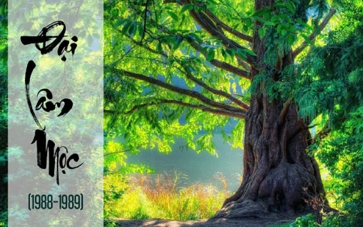 100+ Hình Ảnh Đại Lâm Mộc 2026 Siêu Đẹp, 100+ Bức Ảnh Độc Đáo Đầy Sắc Màu, 100+ Hình Nền Đa Dạng Cho Mọi Nhu Cầu 100+ Hình Ảnh Đại Lâm Mộc 2026 Siêu Đẹp, 100+ Bức Ảnh Độc Đáo Đầy Sắc Màu, 100+ Hình Nền Đa Dạng Cho Mọi Nhu Cầu