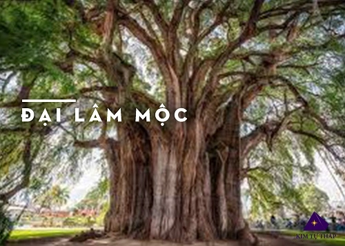 100+ Hình Ảnh Đại Lâm Mộc 2026 Siêu Đẹp, 100+ Bức Ảnh Độc Đáo Đầy Sắc Màu, 100+ Hình Nền Đa Dạng Cho Mọi Nhu Cầu 100+ Hình Ảnh Đại Lâm Mộc 2026 Siêu Đẹp, 100+ Bức Ảnh Độc Đáo Đầy Sắc Màu, 100+ Hình Nền Đa Dạng Cho Mọi Nhu Cầu