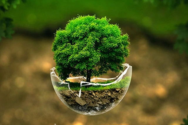 100+ Hình Ảnh Đại Lâm Mộc 2026 Siêu Đẹp, 100+ Bức Ảnh Độc Đáo Đầy Sắc Màu, 100+ Hình Nền Đa Dạng Cho Mọi Nhu Cầu 100+ Hình Ảnh Đại Lâm Mộc 2026 Siêu Đẹp, 100+ Bức Ảnh Độc Đáo Đầy Sắc Màu, 100+ Hình Nền Đa Dạng Cho Mọi Nhu Cầu