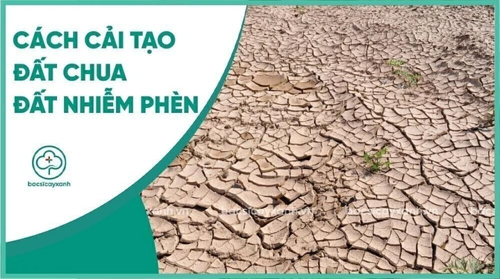 100+ Hình Ảnh Đất Nhiễm Phèn 2026 – Bộ Sưu Tập Đầy Đủ, Chất Lượng Cao, Tải Miễn Phí, Bạn Có Thích Không? 100+ Hình Ảnh Đất Nhiễm Phèn 2026 – Bộ Sưu Tập Đầy Đủ, Chất Lượng Cao, Tải Miễn Phí, Bạn Có Thích Không?