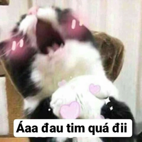 Tải Ngay 100+ Hình Ảnh Đau Tim Hài Hước: Bộ Sưu Tập Dành Cho Người Yêu Meme & Cười Vỡ Bụng Tải Ngay 100+ Hình Ảnh Đau Tim Hài Hước: Bộ Sưu Tập Dành Cho Người Yêu Meme & Cười Vỡ Bụng