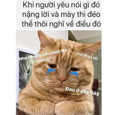 Tải Ngay 100+ Hình Ảnh Đau Tim Hài Hước: Bộ Sưu Tập Dành Cho Người Yêu Meme & Cười Vỡ Bụng Tải Ngay 100+ Hình Ảnh Đau Tim Hài Hước: Bộ Sưu Tập Dành Cho Người Yêu Meme & Cười Vỡ Bụng