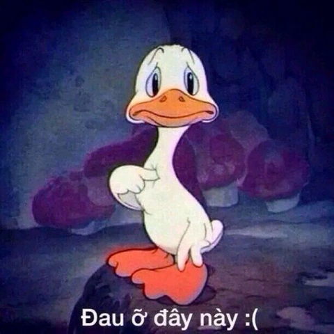 Tải Ngay 100+ Hình Ảnh Đau Tim Hài Hước: Bộ Sưu Tập Dành Cho Người Yêu Meme & Cười Vỡ Bụng Tải Ngay 100+ Hình Ảnh Đau Tim Hài Hước: Bộ Sưu Tập Dành Cho Người Yêu Meme & Cười Vỡ Bụng