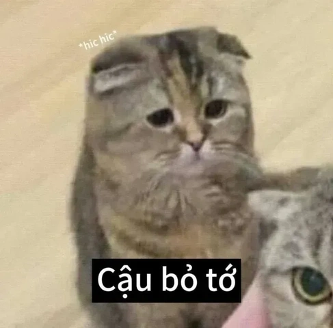 Tải Ngay 100+ Hình Ảnh Đau Tim Hài Hước: Bộ Sưu Tập Dành Cho Người Yêu Meme & Cười Vỡ Bụng Tải Ngay 100+ Hình Ảnh Đau Tim Hài Hước: Bộ Sưu Tập Dành Cho Người Yêu Meme & Cười Vỡ Bụng