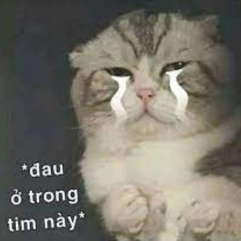 Tải Ngay 100+ Hình Ảnh Đau Tim Hài Hước: Bộ Sưu Tập Dành Cho Người Yêu Meme & Cười Vỡ Bụng Tải Ngay 100+ Hình Ảnh Đau Tim Hài Hước: Bộ Sưu Tập Dành Cho Người Yêu Meme & Cười Vỡ Bụng