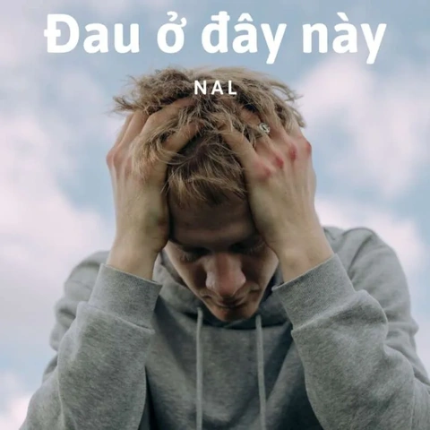 Tải Ngay 100+ Hình Ảnh Đau Tim Hài Hước: Bộ Sưu Tập Dành Cho Người Yêu Meme & Cười Vỡ Bụng Tải Ngay 100+ Hình Ảnh Đau Tim Hài Hước: Bộ Sưu Tập Dành Cho Người Yêu Meme & Cười Vỡ Bụng