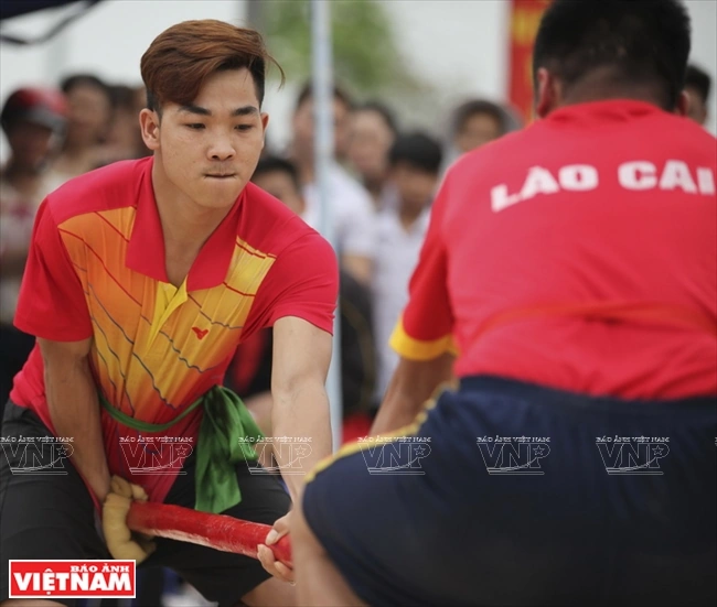 100+ Hình Ảnh Đẩy Gậy Đẹp Nhất 2026 – Bộ Sưu Tập Đầy Đủ Cho Mọi Nhu Cầu, Đã Sẵn Sàng Tải Về Ngay 100+ Hình Ảnh Đẩy Gậy Đẹp Nhất 2026 – Bộ Sưu Tập Đầy Đủ Cho Mọi Nhu Cầu, Đã Sẵn Sàng Tải Về Ngay