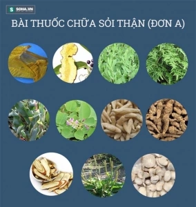 Hình Ảnh Dây Tơ Hồng Xanh: Đặc Điểm, Công Dụng Y Học & Cách Sử Dụng An Toàn Cho Người Mới Tìm Hiểu