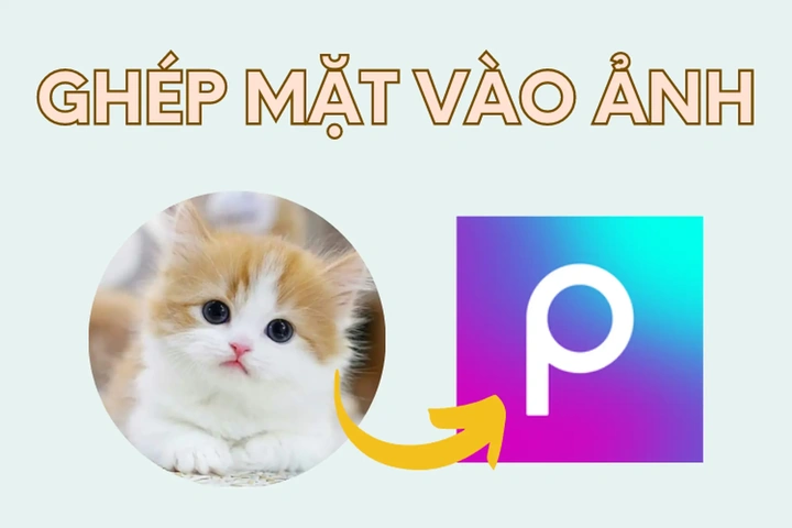 100+ Hình Ảnh Để Ghép Mặt Full Hd 2026 – Bộ Sưu Tập Đẹp Nhất, Bạn Đã Xem Chưa?