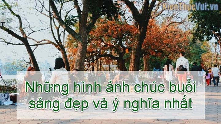 100+ Hình Ảnh Đẹp Buổi Sáng 2026 – Bạn Đã Xem Chưa? 100+ Hình Ảnh Đẹp Buổi Sáng 2026 – Bạn Đã Xem Chưa?
