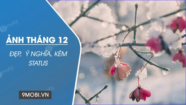 60+ Hình Ảnh Đẹp Chào Tháng 12 Đầy Cảm Xúc Dành Cho Người Yêu Sắc Màu & Cộng Đồng Mạng Xã Hội 60+ Hình Ảnh Đẹp Chào Tháng 12 Đầy Cảm Xúc Dành Cho Người Yêu Sắc Màu & Cộng Đồng Mạng Xã Hội