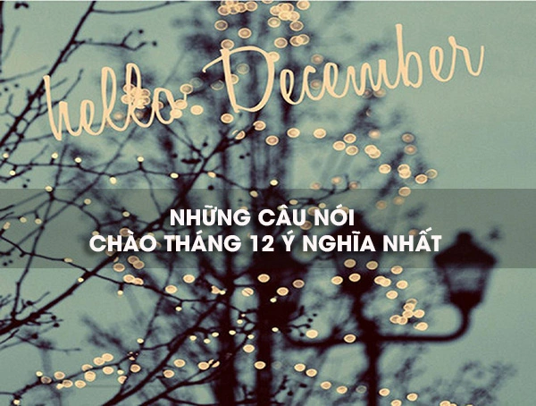 60+ Hình Ảnh Đẹp Chào Tháng 12 Đầy Cảm Xúc Dành Cho Người Yêu Sắc Màu & Cộng Đồng Mạng Xã Hội 60+ Hình Ảnh Đẹp Chào Tháng 12 Đầy Cảm Xúc Dành Cho Người Yêu Sắc Màu & Cộng Đồng Mạng Xã Hội