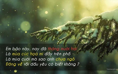 60+ Hình Ảnh Đẹp Chào Tháng 12 Đầy Cảm Xúc Dành Cho Người Yêu Sắc Màu & Cộng Đồng Mạng Xã Hội 60+ Hình Ảnh Đẹp Chào Tháng 12 Đầy Cảm Xúc Dành Cho Người Yêu Sắc Màu & Cộng Đồng Mạng Xã Hội