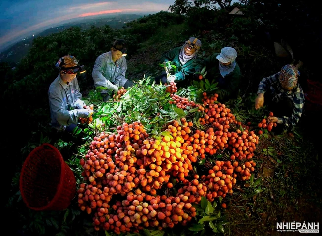 100+ Hình Ảnh Đẹp Của Bác 2026 – Bộ Sưu Tập Đầy Đủ, Sắc Nét, Sẵn Sàng Tải