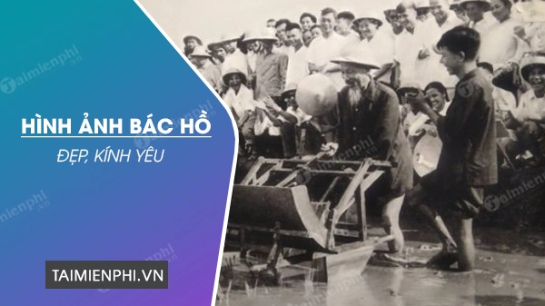 100+ Hình Ảnh Đẹp Của Bác 2026 – Bộ Sưu Tập Đầy Đủ, Sắc Nét, Sẵn Sàng Tải