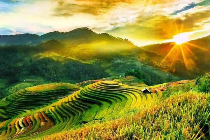 Tải Ngay 10.000+ Hình Ảnh Đẹp Của Thiên Nhiên – Bộ Sưu Tập Miễn Phí Cho Người Yêu Thế Giới Xanh