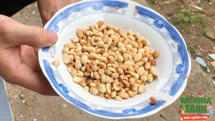 100+ Hình Ảnh Đĩa Lạc Luộc 2026 Đầy Đủ Chủ Đề, Độ Phân Giải Cao, Tải Miễn Phí Ngay Hôm Nay