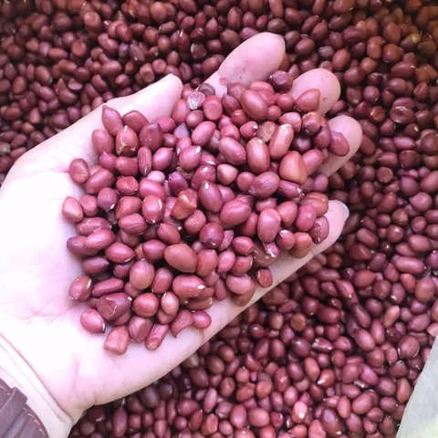 100+ Hình Ảnh Đĩa Lạc Luộc 2026 Đầy Đủ Chủ Đề, Độ Phân Giải Cao, Tải Miễn Phí Ngay Hôm Nay