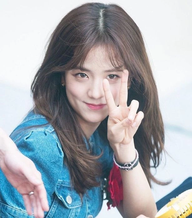 100+ Hình Ảnh Dìm Của Blackpink 2026 - Bộ Sưu Tập Đầy Đủ, Siêu Đẹp, Tải Miễn Phí