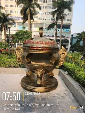100+ Hình Ảnh Đinh Vàng Hoa 2026 – Bộ Sưu Tập Đẹp Nhất, Tải Ngay? 100+ Hình Ảnh Đinh Vàng Hoa 2026 – Bộ Sưu Tập Đẹp Nhất, Tải Ngay?