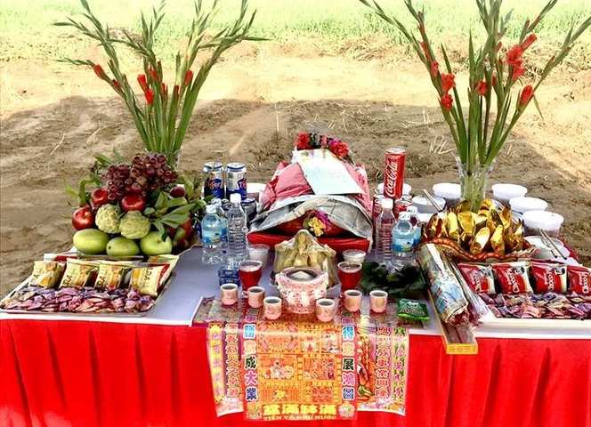 100+ Hình Ảnh Đinh Vàng Hoa 2026 – Bộ Sưu Tập Đẹp Nhất, Tải Ngay? 100+ Hình Ảnh Đinh Vàng Hoa 2026 – Bộ Sưu Tập Đẹp Nhất, Tải Ngay?