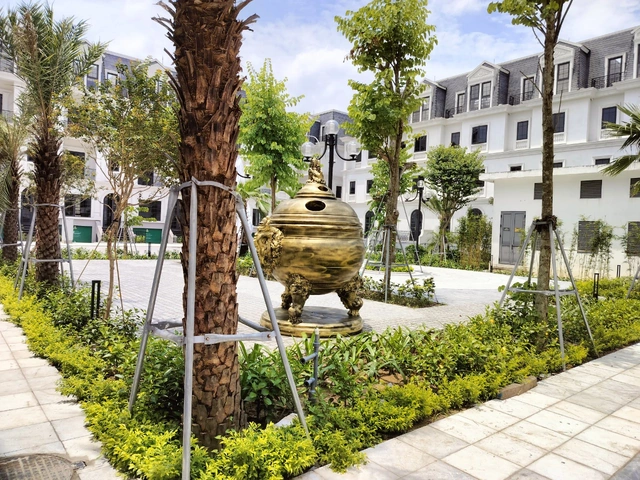 100+ Hình Ảnh Đinh Vàng Hoa 2026 – Bộ Sưu Tập Đẹp Nhất, Tải Ngay? 100+ Hình Ảnh Đinh Vàng Hoa 2026 – Bộ Sưu Tập Đẹp Nhất, Tải Ngay?