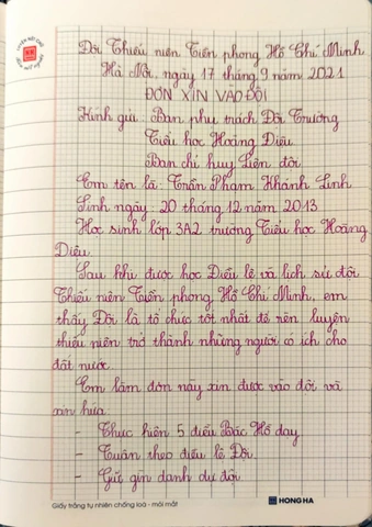 Hình Ảnh Mẫu Đơn Xin Vào Đội Thường Xuyên Dùng – Hướng Dẫn Chi Tiết Cho Học Sinh Lớp 3