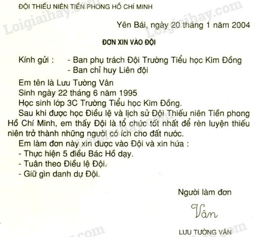 Hình Ảnh Mẫu Đơn Xin Vào Đội Thường Xuyên Dùng – Hướng Dẫn Chi Tiết Cho Học Sinh Lớp 3