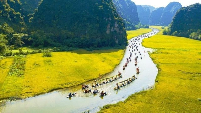 100+ Hình Ảnh Đồng Lúa Đẹp 2026 - Bộ Sưu Tập Wallpaper Cao Cấp, 100+ Cảnh Nông Trại Thơ Mộng 100+ Hình Ảnh Đồng Lúa Đẹp 2026 - Bộ Sưu Tập Wallpaper Cao Cấp, 100+ Cảnh Nông Trại Thơ Mộng