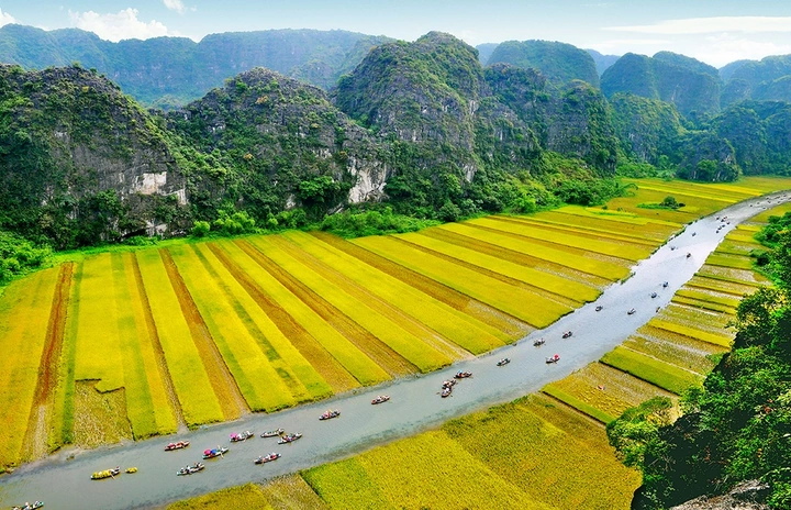 100+ Hình Ảnh Đồng Lúa Đẹp 2026 - Bộ Sưu Tập Wallpaper Cao Cấp, 100+ Cảnh Nông Trại Thơ Mộng 100+ Hình Ảnh Đồng Lúa Đẹp 2026 - Bộ Sưu Tập Wallpaper Cao Cấp, 100+ Cảnh Nông Trại Thơ Mộng