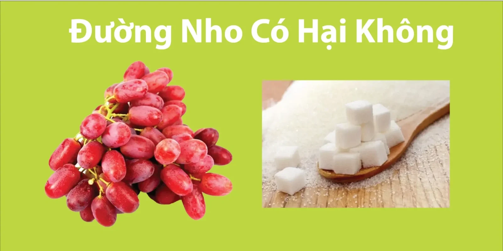 100+ Hình Ảnh Đường Nho Đẹp Nhất 2026 – Bộ Sưu Tập Đường Nho Cao Độ, 100+ Ảnh Đường Nho Siêu Sắc Nét Cho Màn Hình, 100+ Hình Ảnh Đường Nho Vàng Óng Bạc Đẹp Lung Linh Khiến Bạn Ngất Ngây