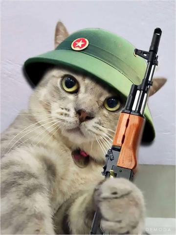 100+ Hình Ảnh Free Fire Hài Hước: Tải Ngay, Tự Tạo & Chia Sẻ (dành Cho Game Thủ & Fan Hâm Mộ) 100+ Hình Ảnh Free Fire Hài Hước: Tải Ngay, Tự Tạo & Chia Sẻ (dành Cho Game Thủ & Fan Hâm Mộ)