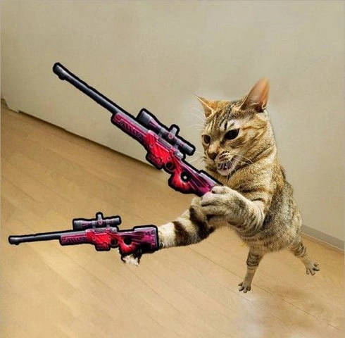 100+ Hình Ảnh Free Fire Hài Hước: Tải Ngay, Tự Tạo & Chia Sẻ (dành Cho Game Thủ & Fan Hâm Mộ) 100+ Hình Ảnh Free Fire Hài Hước: Tải Ngay, Tự Tạo & Chia Sẻ (dành Cho Game Thủ & Fan Hâm Mộ)