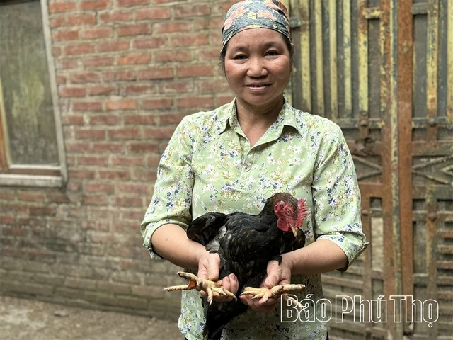 100+ Hình Ảnh Gà Chín Cựa 2026 – Bộ Sưu Tập Đẹp Nhất, Siêu Sắc Nét, Đầy Đủ Chủ Đề 100+ Hình Ảnh Gà Chín Cựa 2026 – Bộ Sưu Tập Đẹp Nhất, Siêu Sắc Nét, Đầy Đủ Chủ Đề
