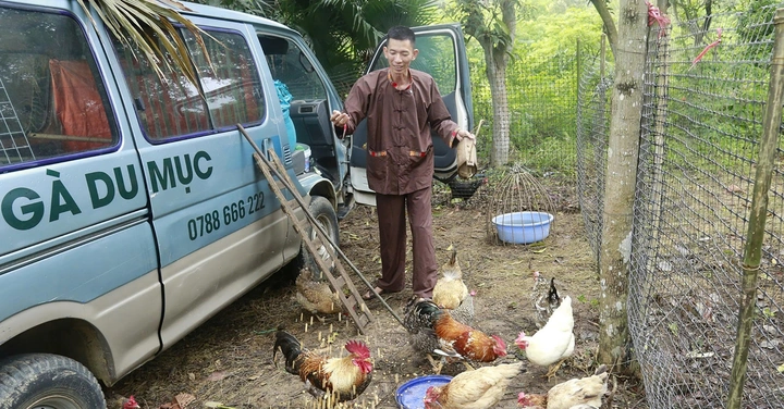 100+ Hình Ảnh Gà Chín Cựa 2026 – Bộ Sưu Tập Đẹp Nhất, Siêu Sắc Nét, Đầy Đủ Chủ Đề 100+ Hình Ảnh Gà Chín Cựa 2026 – Bộ Sưu Tập Đẹp Nhất, Siêu Sắc Nét, Đầy Đủ Chủ Đề