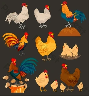 100+ Hình Ảnh Gà Đạp Mái 2026 Đẹp Nhất, 100+ Bức Ảnh Gà Đạp Mái Siêu Đẹp Cho Mọi Nền 100+ Hình Ảnh Gà Đạp Mái 2026 Đẹp Nhất, 100+ Bức Ảnh Gà Đạp Mái Siêu Đẹp Cho Mọi Nền