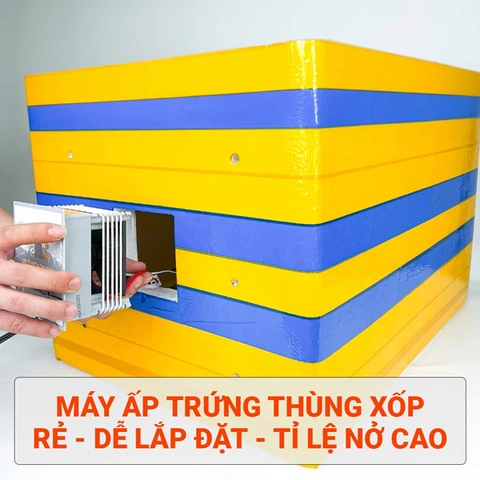 Tải Miễn Phí & Sử Dụng Hình Ảnh Gà Mái Ấp Trứng: Hướng Dẫn Toàn Diện Cho Người Yêu Thú Cưng & Nhà Thiết Kế Tải Miễn Phí & Sử Dụng Hình Ảnh Gà Mái Ấp Trứng: Hướng Dẫn Toàn Diện Cho Người Yêu Thú Cưng & Nhà Thiết Kế
