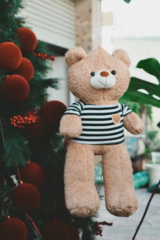 Hình Ảnh Gấu Bông Dễ Thương Nhất 2026: Bộ Sưu Tập Siêu Đẹp Dành Cho Các Fan Yêu Thú Cưng Hình Ảnh Gấu Bông Dễ Thương Nhất 2026: Bộ Sưu Tập Siêu Đẹp Dành Cho Các Fan Yêu Thú Cưng