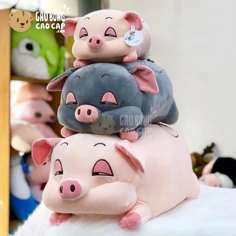 Hình Ảnh Gấu Bông Dễ Thương Nhất 2026: Bộ Sưu Tập Siêu Đẹp Dành Cho Các Fan Yêu Thú Cưng Hình Ảnh Gấu Bông Dễ Thương Nhất 2026: Bộ Sưu Tập Siêu Đẹp Dành Cho Các Fan Yêu Thú Cưng